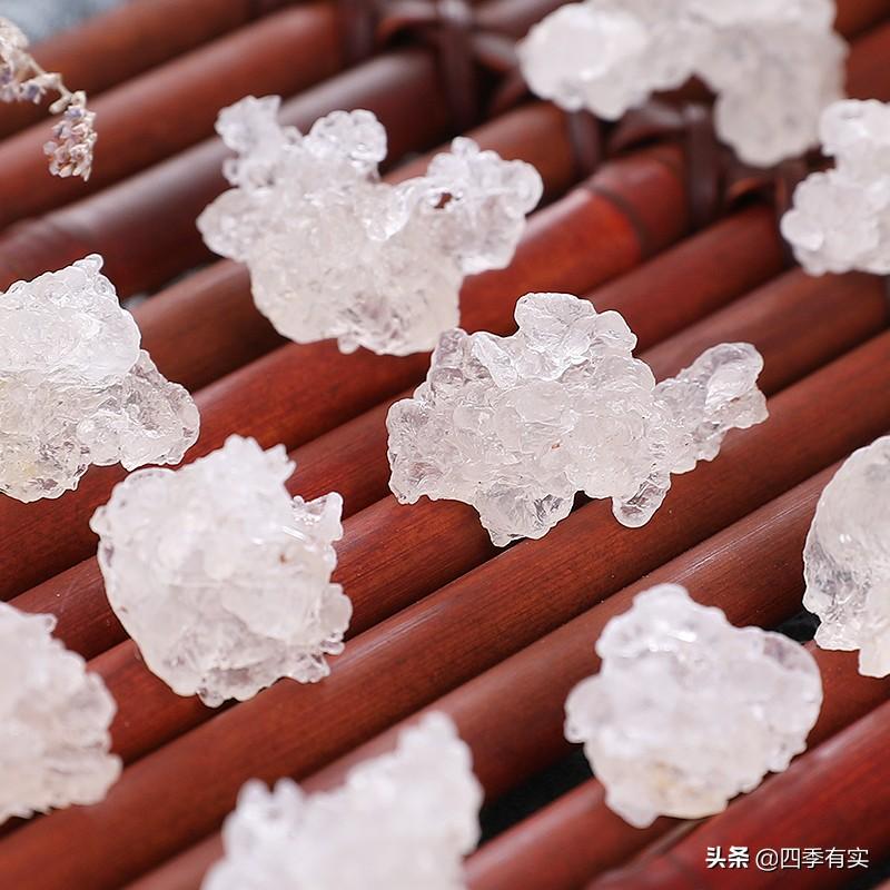 雪燕是什么东西（野生雪燕是什么东西）