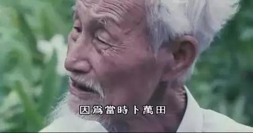 楚人美为什么不放过小强（楚人美要小强保守什么秘密）