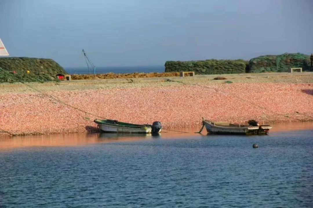 蓬莱仙岛在哪里（海南岛旅游胜地，让你走进梦幻仙境）