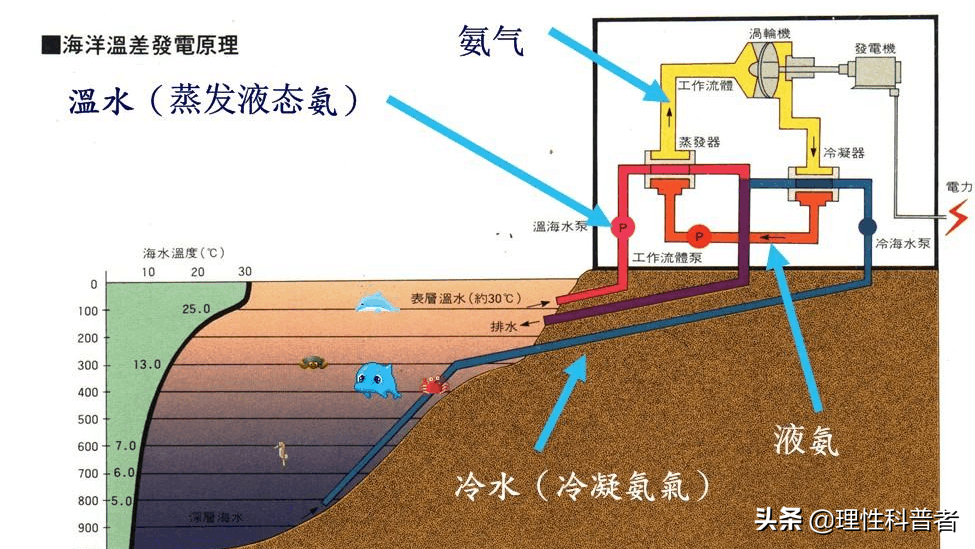 形成海洋温差能的源头是哪里（从海洋温差能的源头是什么）