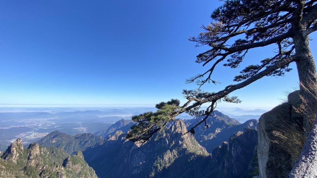 黄山四绝分别是什么（黄山四绝分别是什么山）