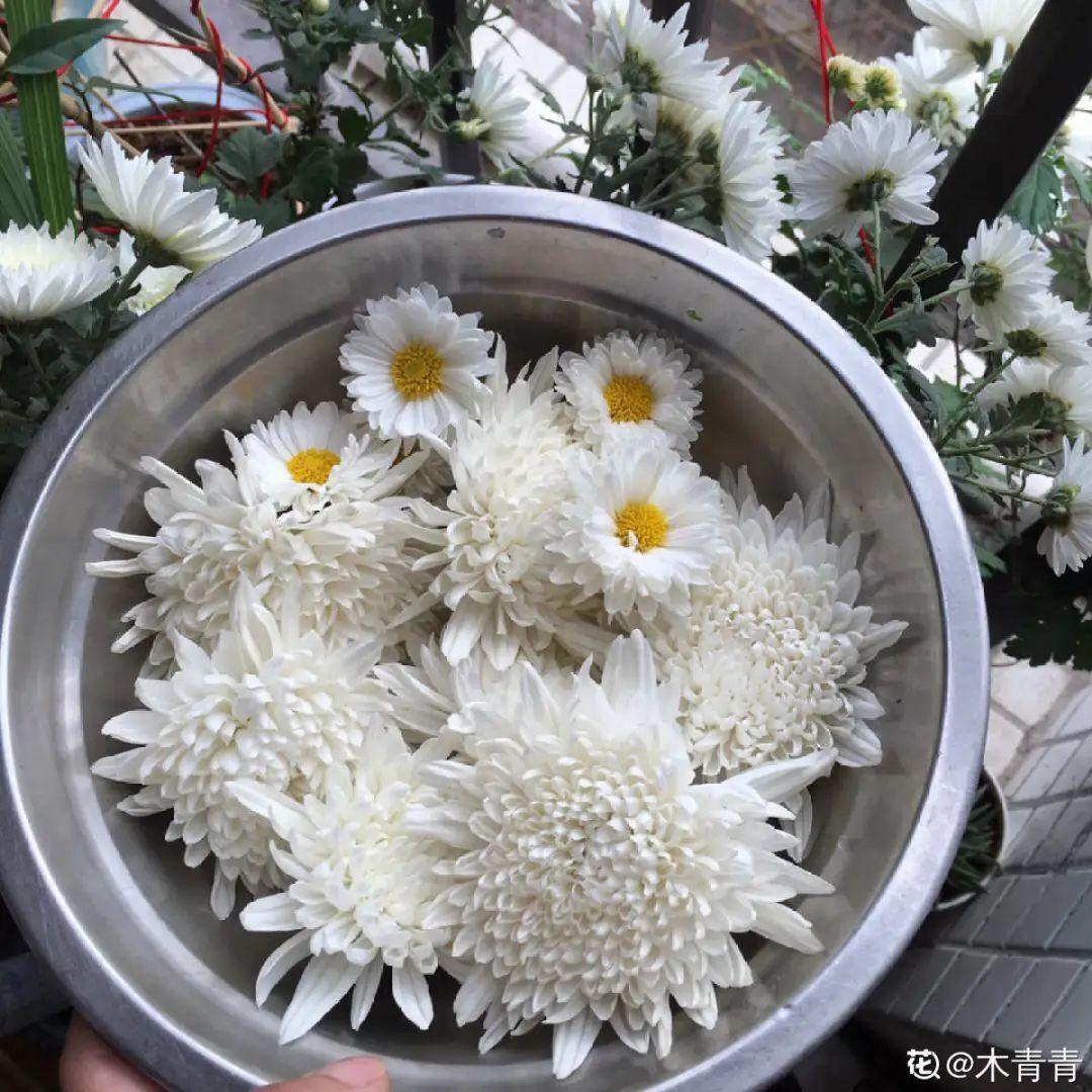 家里为什么不能养荷花（家里养荷花风水禁忌）