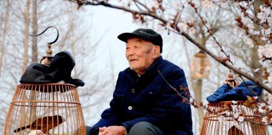 对老公心寒了怎么办（即便不离婚女人也能过得舒服）