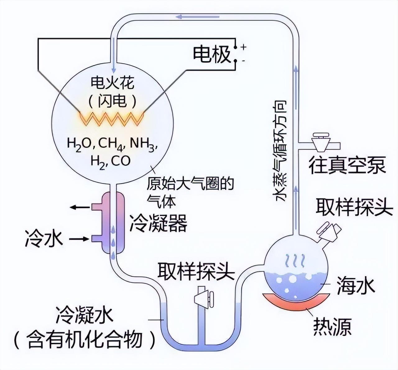 世界上第一个人是谁（地球上第一个人怎么出现的）