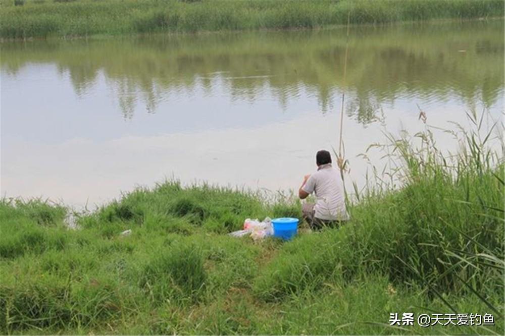 夏天晚上钓鱼钓深还是浅（夜钓到底应该钓多深）