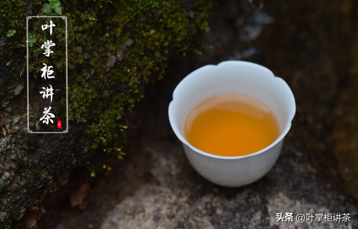 岩茶属于什么茶（岩茶有哪些品种要怎么选购）