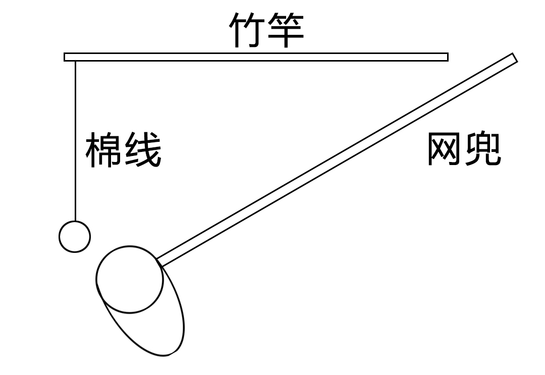 钓龙虾用什么诱饵最好（抓小龙虾用什么诱饵）