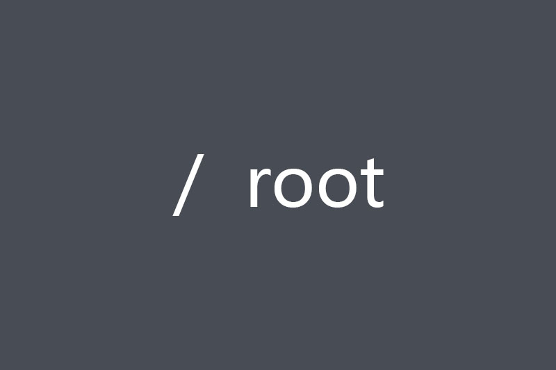 root 是什么意思