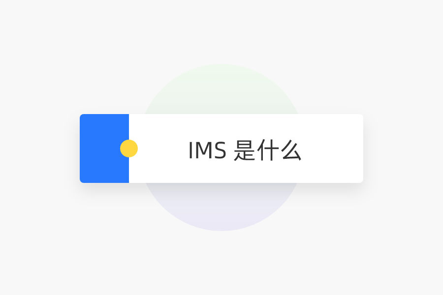 IMS 是什么