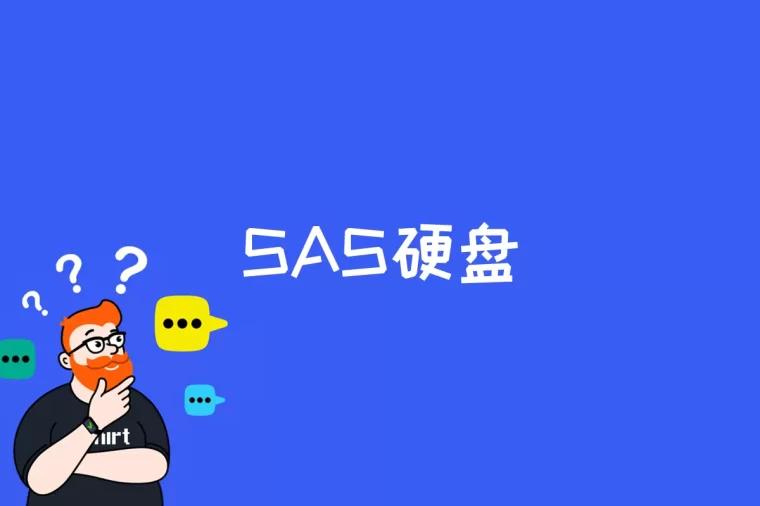 SAS硬盘是什么