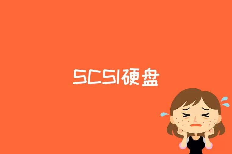 SCSI硬盘是什么