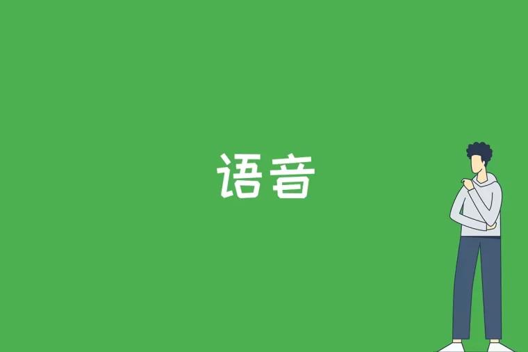 语音是什么