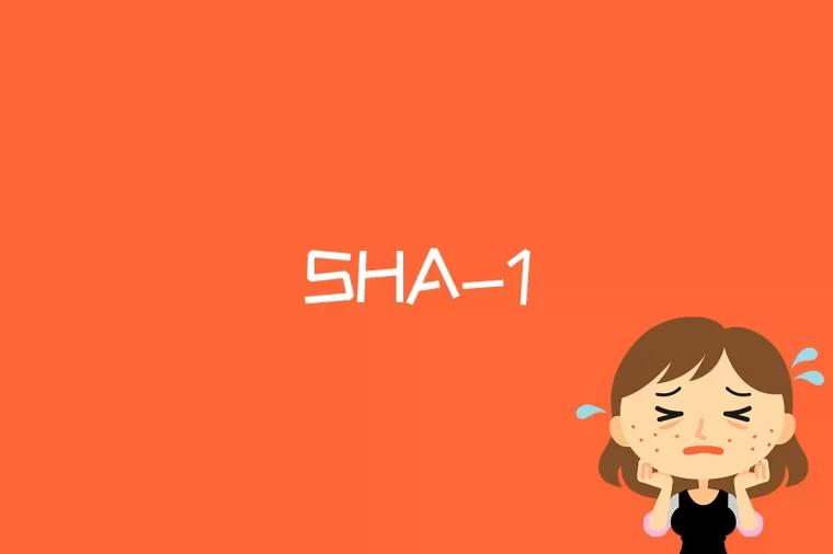 SHA-1是什么