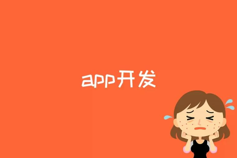 app开发是什么