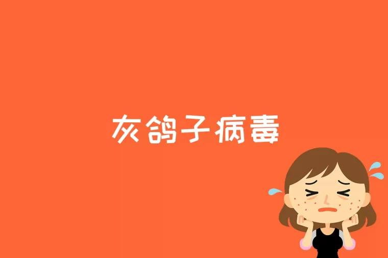 灰鸽子病毒是什么