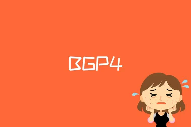 BGP4是什么