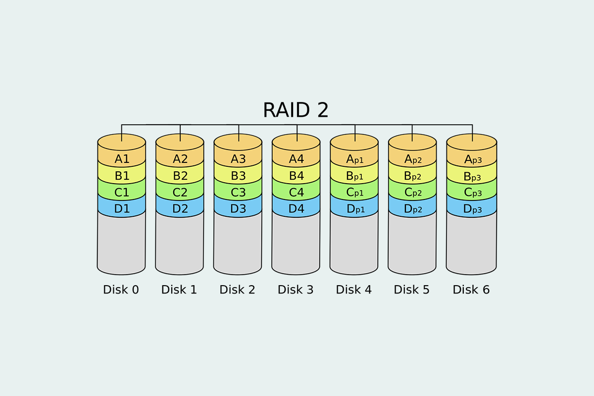 RAID2是什么