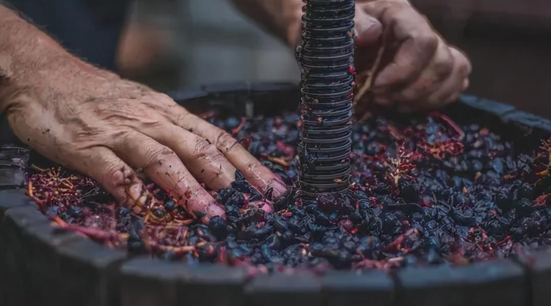 自酿葡萄酒有毒吗（为什么自制葡萄酒危险还可能有毒）