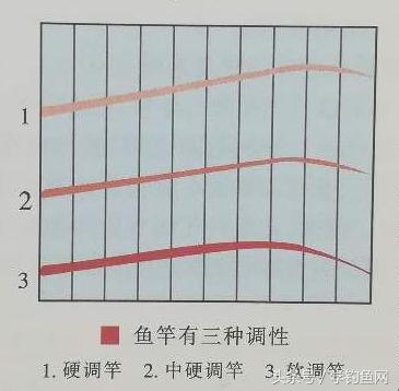 鱼竿调性是什么意思（鱼竿硬度和调性是什么意思）