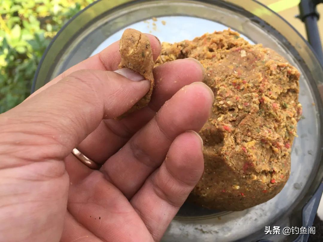 野钓鲤鱼用什么饵料最好（专业野钓鲤鱼饵料）