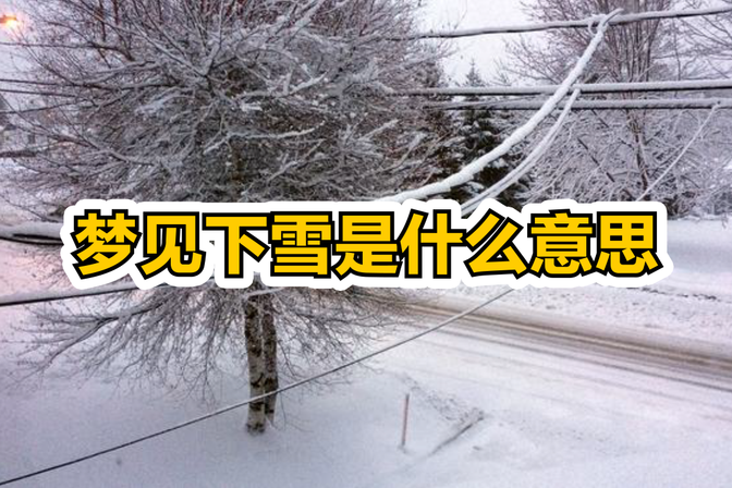 女人梦见下雪什么预兆（分析梦境中下雪的真实影响和隐含意义）