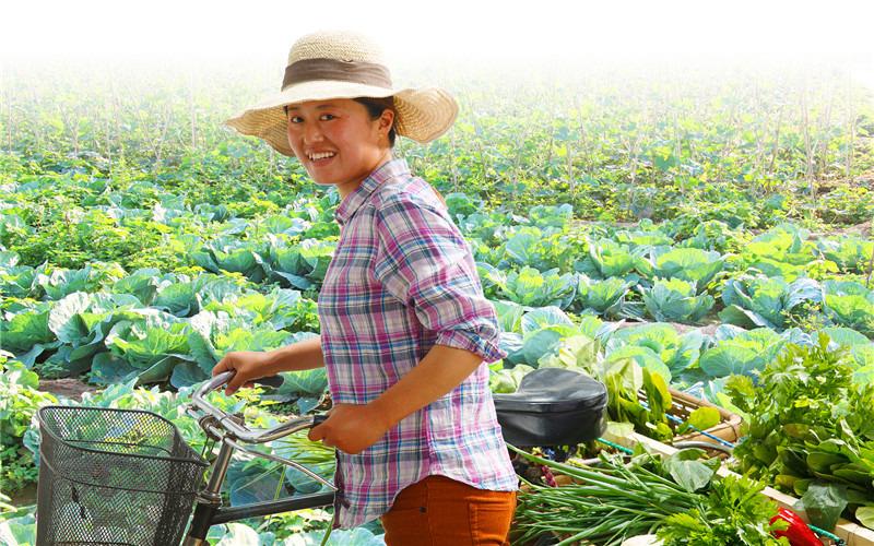 农村种植什么项目好（农村搞什么种植好赚钱）