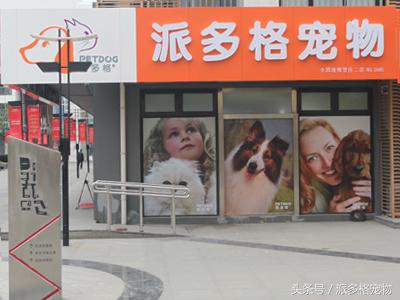 宠物店加盟大概要多少钱（开一个宠物店大概需要多少钱）