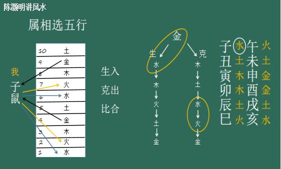 珊字五行属什么（珊字性格五行解析）