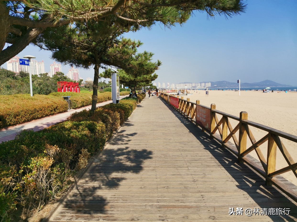 老年人适合去哪旅游（哪些景点适合老年人旅游）