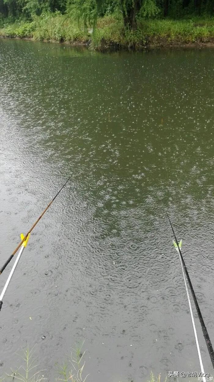 下雨天钓鱼好不好钓（为什么下雨天更好钓鱼）