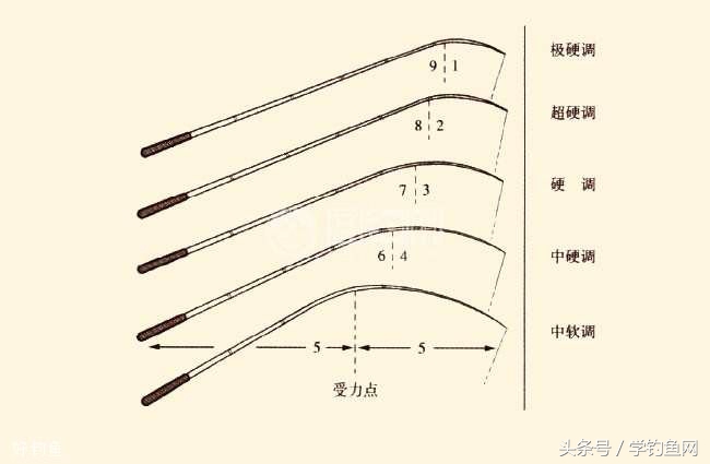 鱼竿调性是什么意思（鱼竿硬度和调性是什么意思）