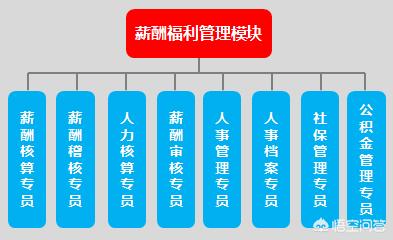 人力资源岗位从业条件与职责（解密HR行业知识与技能要求）