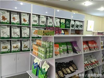 宠物店加盟大概要多少钱（开一个宠物店大概需要多少钱）