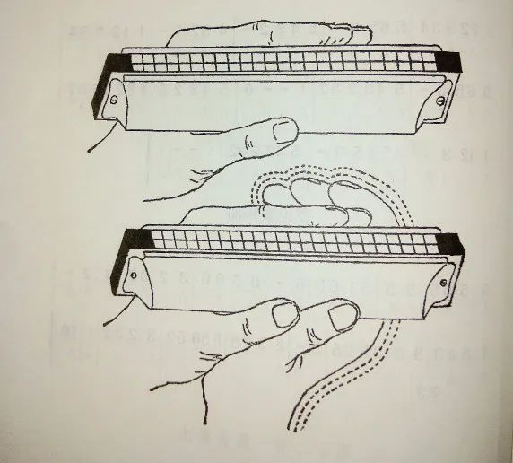 学口琴最简单的方法（初学者应该怎样开始学口琴）
