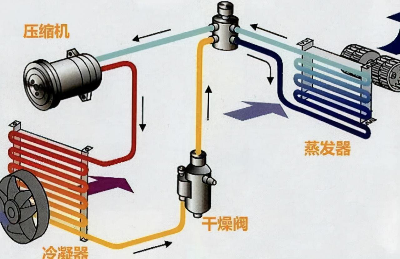 amb是什么意思（车上的AMB是什么意思）