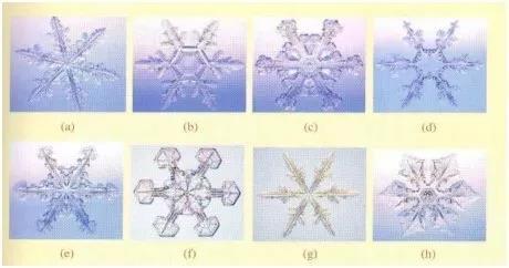 雪为什么是白色的（雪为什么是白色的答案是什么）