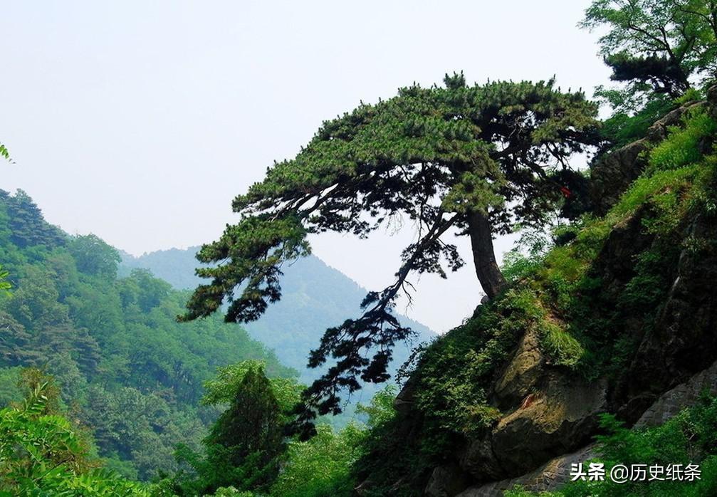 泰山为什么是五岳之首（泰山并不高为什么是五岳之首）