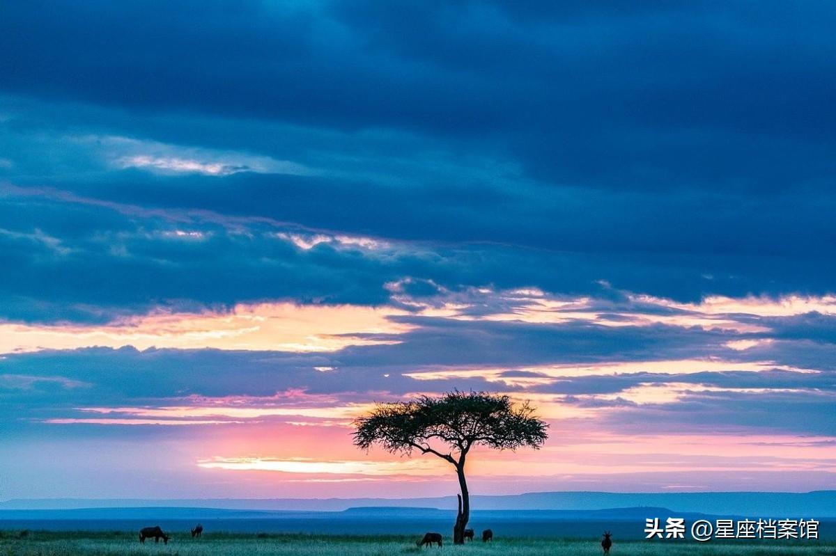 天秤座和谁最配（天秤座和什么星座合得来）