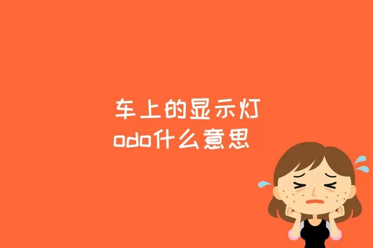 车上的显示灯odo什么意思