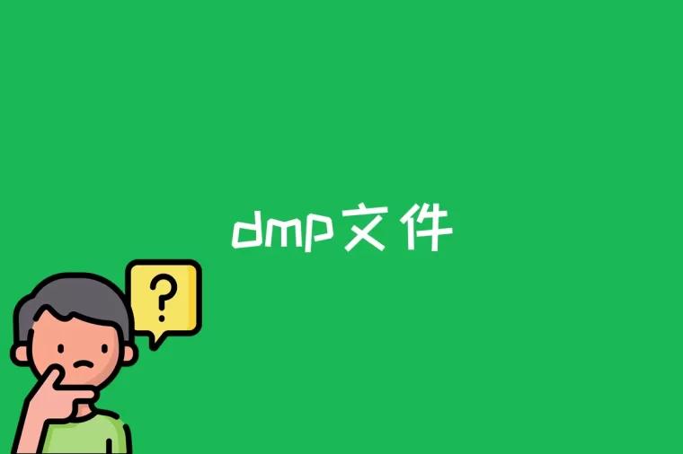 dmp文件是什么