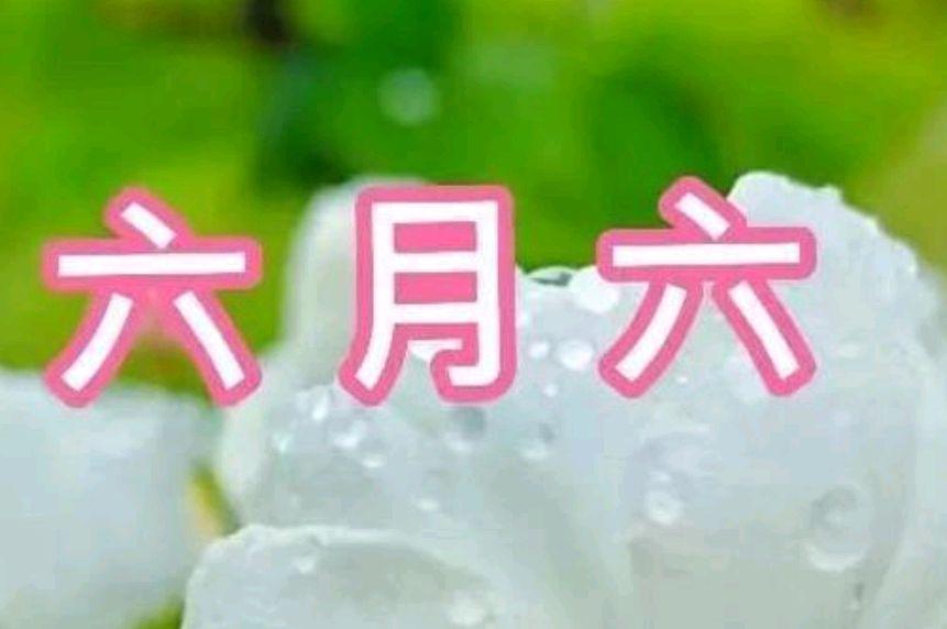 六月六是什么节日（农历六月六是什么节日）