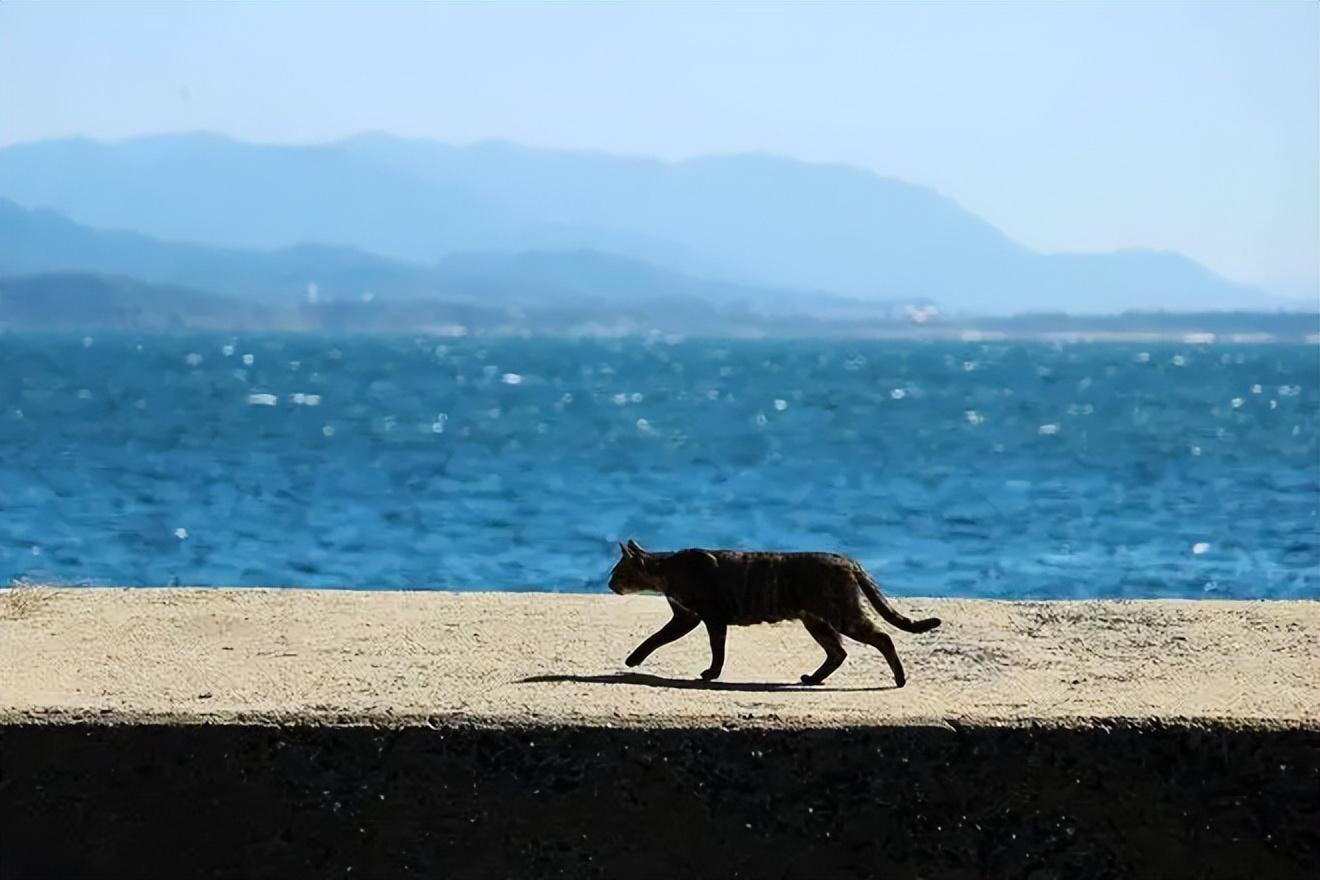 日本水俣病事件（日本水俣病事件背景）