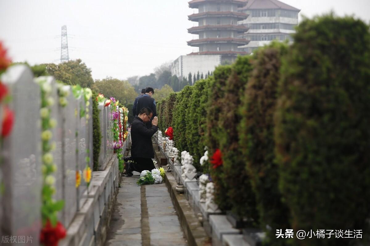 女婿上坟对谁不好（女婿为啥不能上坟）