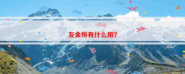 友金所有什么用？