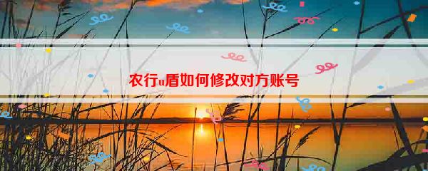 农行u盾如何修改对方账号