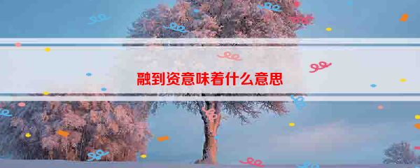 融到资意味着什么意思