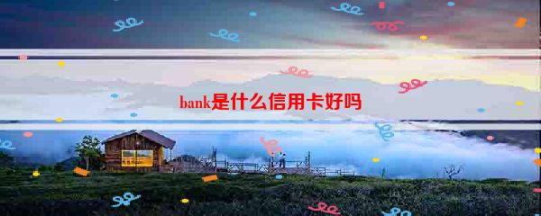 bank是什么信用卡好吗