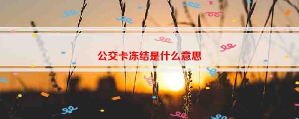 公交卡冻结是什么意思