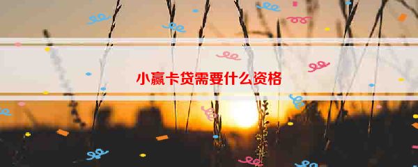 小赢卡贷需要什么资格