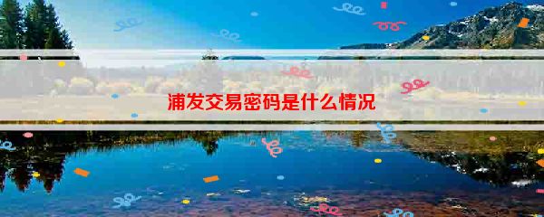 浦发交易密码是什么情况